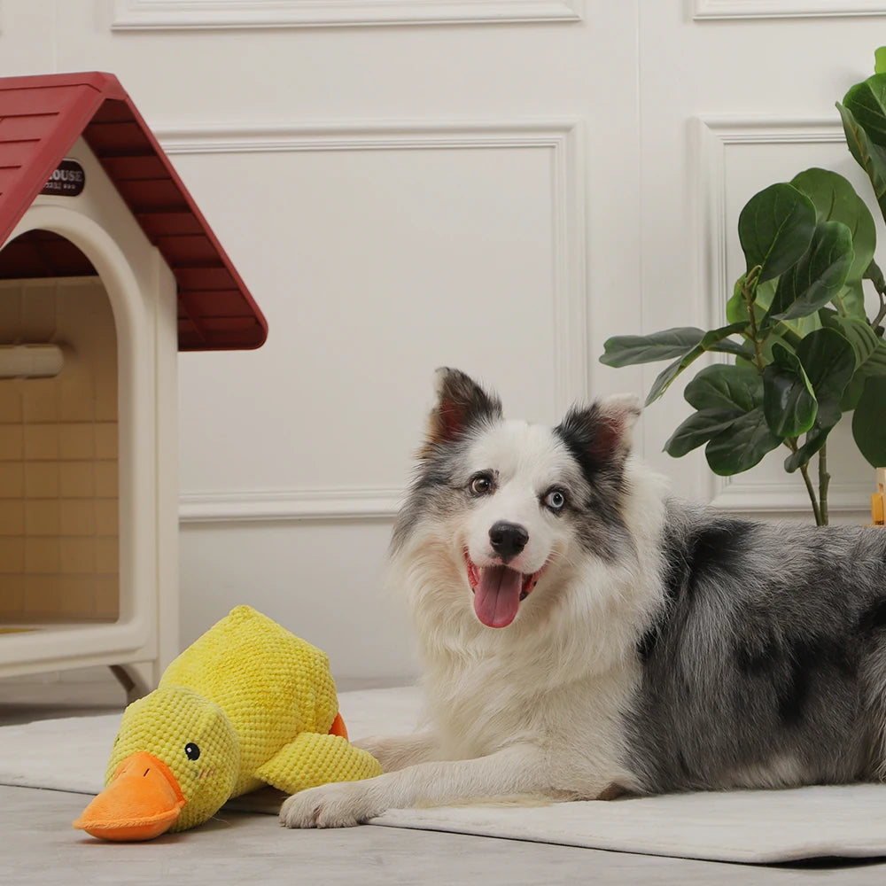 Wuff Duck - Entspannendes Spiel für Hunde