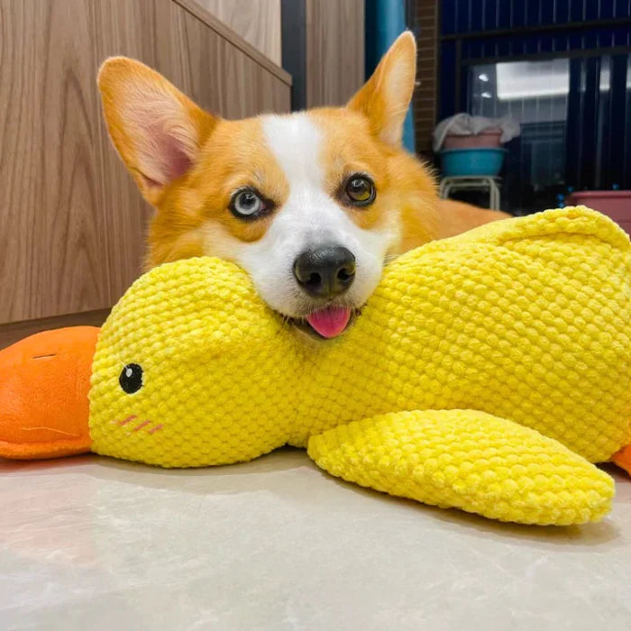 Wuff Duck - Entspannendes Spiel für Hunde