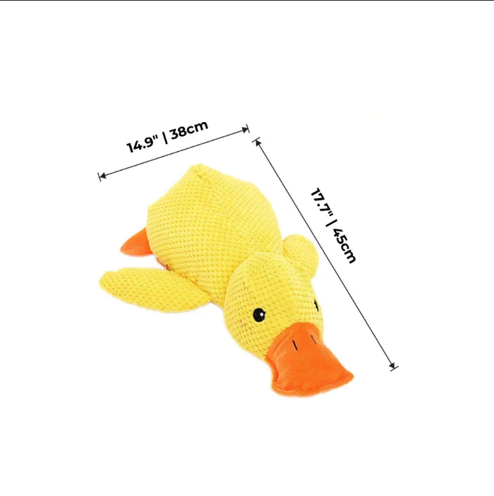 Wuff Duck - Entspannendes Spiel für Hunde