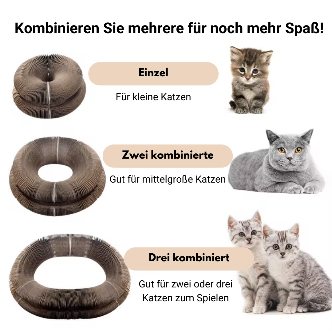 KatKurl - Spaß, den Ihre Katze lieben wird!