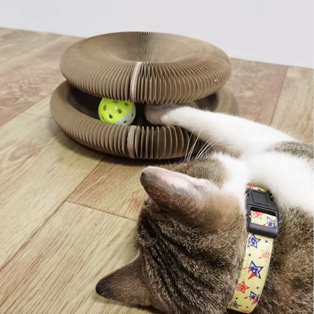 KatKurl - Spaß, den Ihre Katze lieben wird!