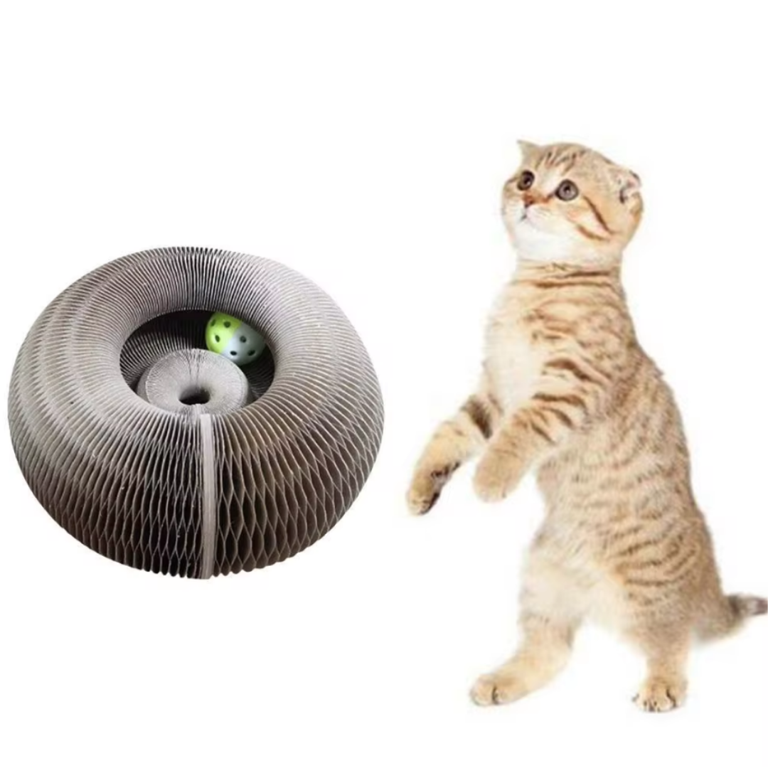KatKurl - Spaß, den Ihre Katze lieben wird!