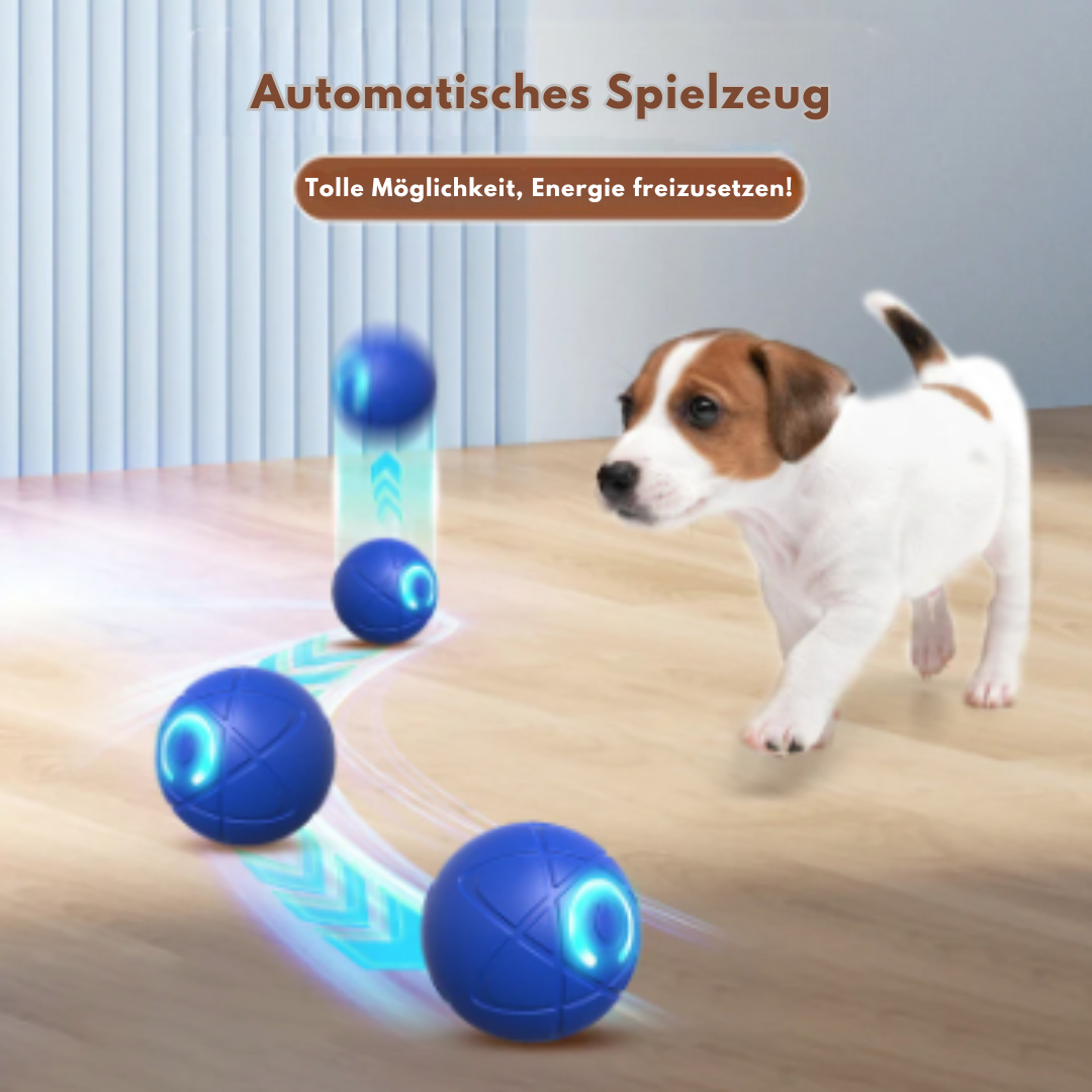 HüpfBall für Katzen🐱 & Hunde🐶