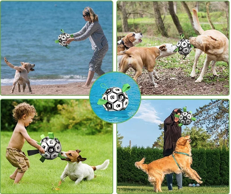 Fußballhund (Inklusive Pumpe!)