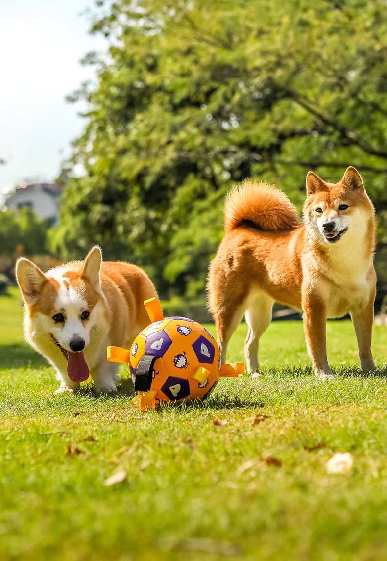 Fußballhund (Inklusive Pumpe!)