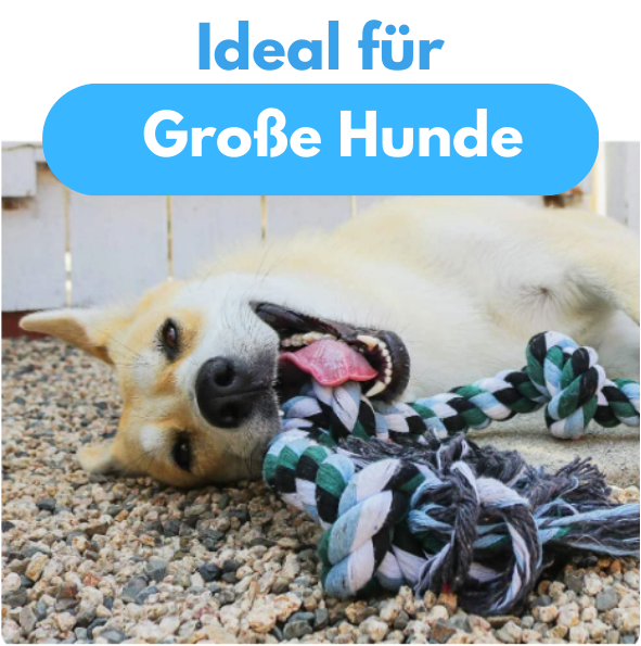 FunRope - Lustiges Seil-Kauspielzeug